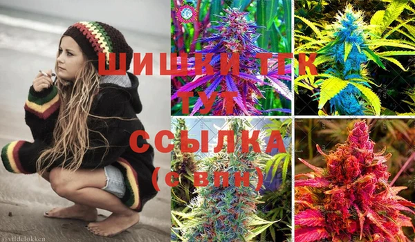 PSILOCYBIN Приозерск