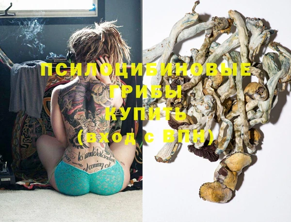 PSILOCYBIN Приозерск