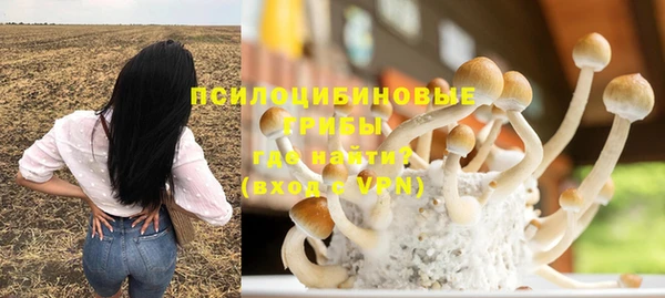 PSILOCYBIN Приозерск