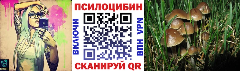 Псилоцибиновые грибы мухоморы  Ишимбай 